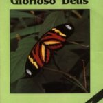Nosso glorioso Deus - Líder