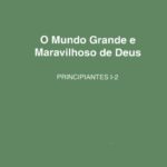 PE I-2 - Mundo Grande e Maravilhoso - Visuais