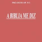 PE II-2 - A Bíblia Me Diz - Visuais